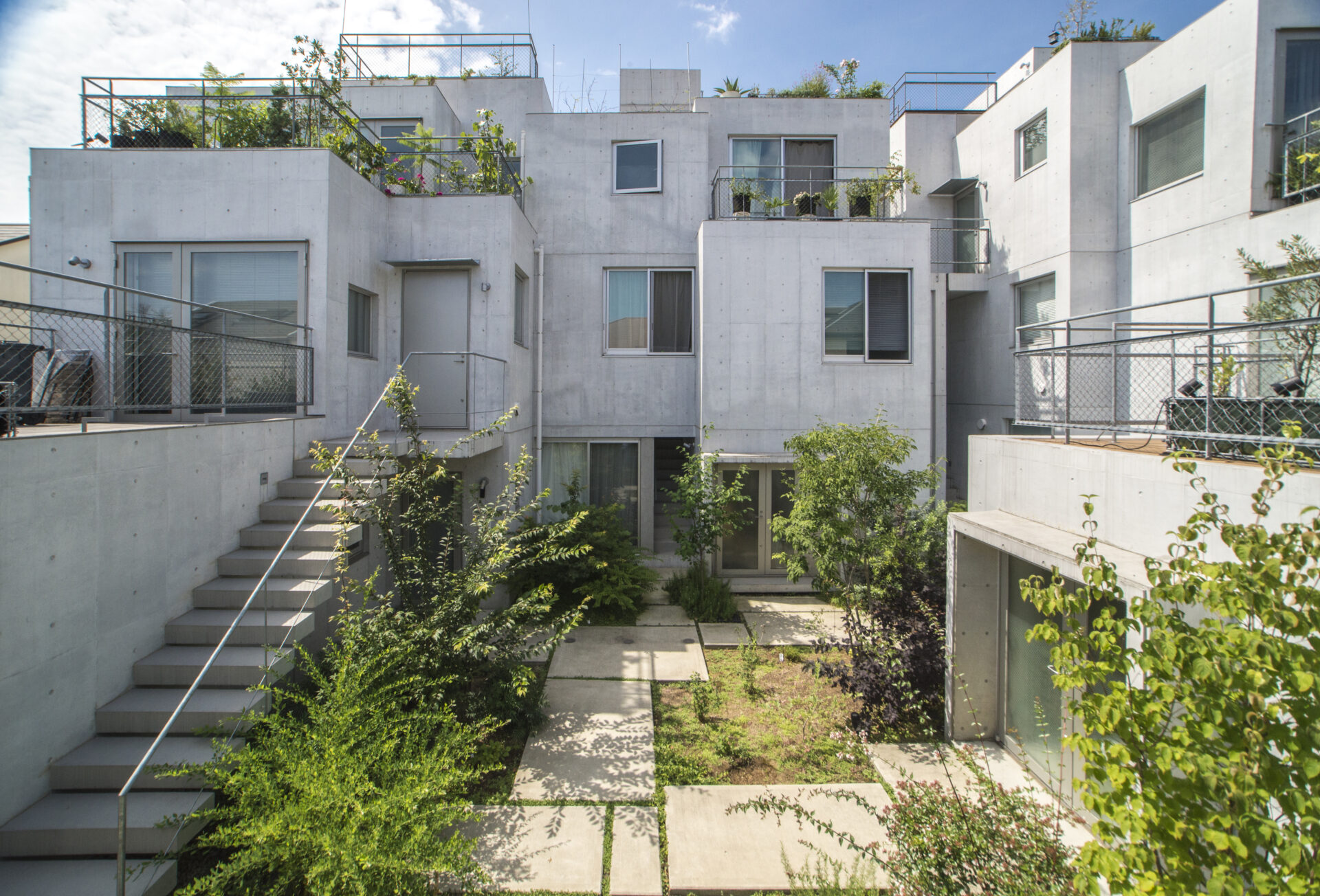 ライノウイルスとRSVの間には関係がありますか?